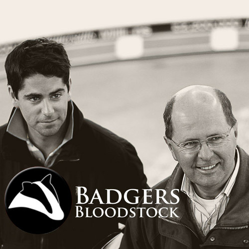 Bloodstock Agency that has been buying, selling and managing horses of the highest class for the last thirty five years.