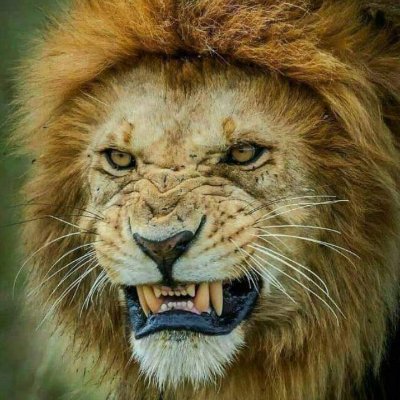 MucWamiti's profile picture. 