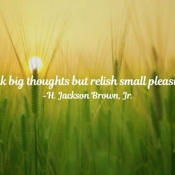 Rexy51546359's profile picture. make hay