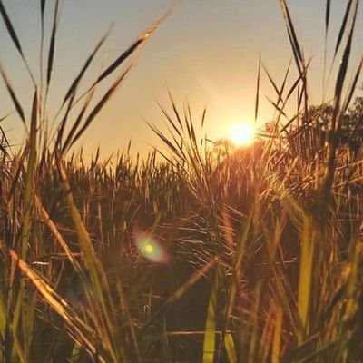 Anasudd77566869's profile picture. #Bangladesh
Dhaka Khulna
🇧🇩🇧🇩🇧🇩