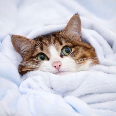 eddywalter09's profile picture. software Engineer, digital marketer, data analyst, computer instructor.