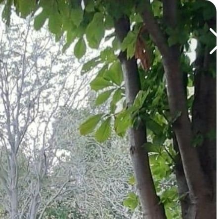 Blue88841604's profile picture. Sosyal olmakta ne sakınca var?