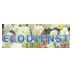Ecodienst (@ecodienst) Twitter profile photo