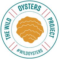 The Wild Oysters Project (@wild_oysters) 's Twitter Profile Photo The Wild Oysters Project (@wild_oysters) 's Twitter Profile Photo