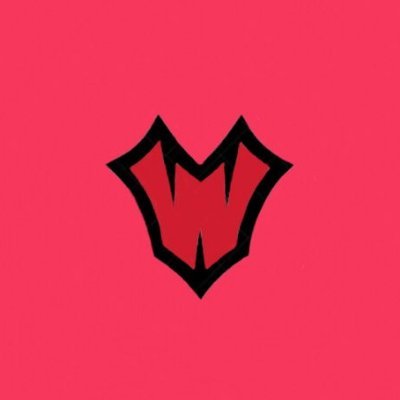📈Organisation based on fortnite 
📑all members are followed