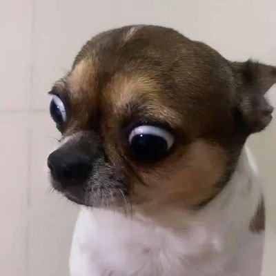 Joylakkk's profile picture. ขอให้ความสุขจงมี