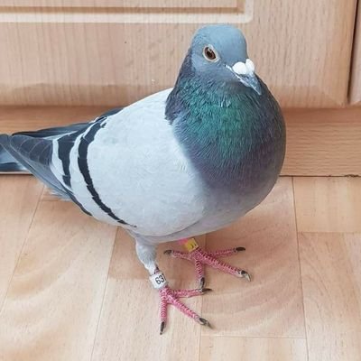 Andreas26728671's profile picture. hab ein schweres Leben. Depressionen