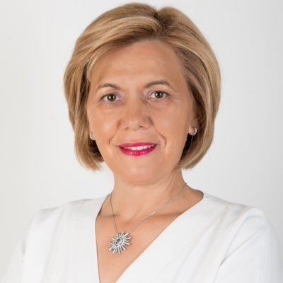 Deputada na Assembleia da República.  Professora.