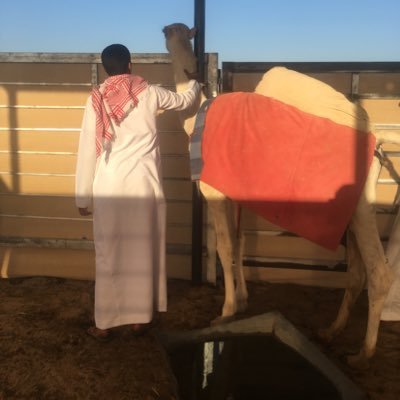 M_alotibi49's profile picture. @dx