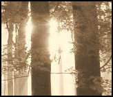 Eikenvloerdelen's profile picture. Gorgeous solid oak parquetfloors and tables against strongly competitive prices. Quality meets discount at: http://t.co/eZ6AXbnikN and http://t.co/xQxtyrOFqk