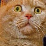 lc36KnhNuSWvbCD's profile picture. 気を付ける