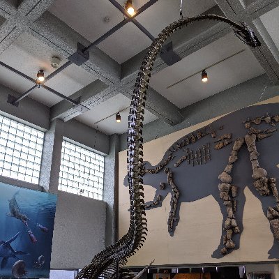 yokacyou's profile picture. 消化、病院経営、Vipassana