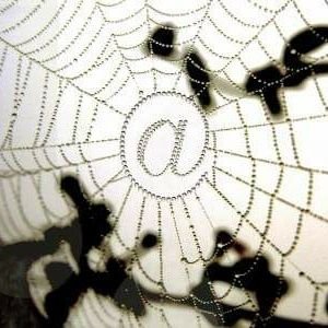 WSachsen's profile picture. 