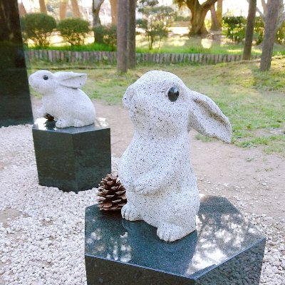 水織さんのプロフィール画像