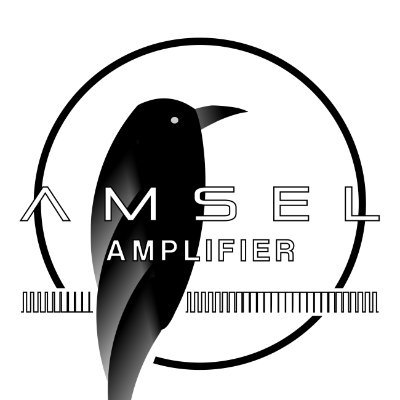 AMSEL Amplifier
