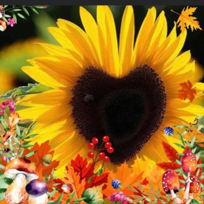 Deana90149957's profile picture. My attitude