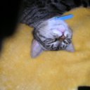 Sarah Beal - @SBeal1970 - Twitter