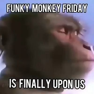 Funky Monkey Friday vibes