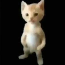 hacker139451255's profile picture.