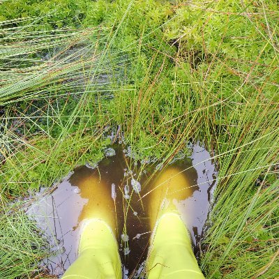 ThuenenPeat's profile picture. Peatland group at the Thünen Institute of Climate-Smart Agriculture
Account currently not active, find us at BlueSky.