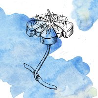 Fariñas Lab (@farinaslab) 's Twitter Profile