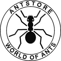 ANTSTORE (@antstore) 's Twitter Profile