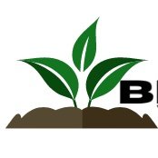 Biochar in the Real World.  Uses and Implementations of Biochar