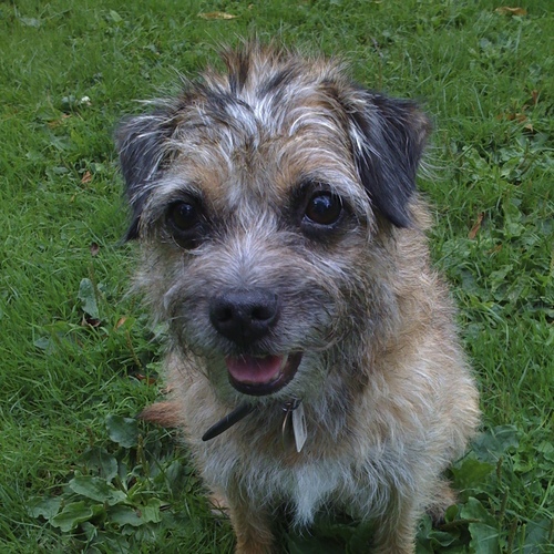 ChalkyTweets's profile picture. Brompton-riding, copy-writing, apple-loving, dog-patting, beer-drinking, pie-eating, Villa-supporting, all-round happy-chappie