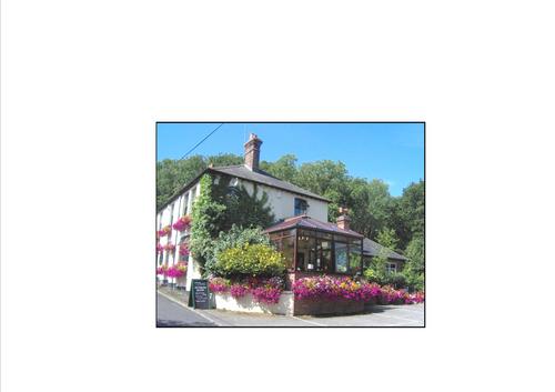 TheSunIntheWood's profile picture. The Sun in the Wood is a quality award winning Country Pub in Berkshire run by Lauren & Philip Davison BII Licensee of the Year 2009