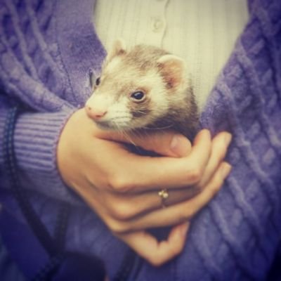 lgz54vqlhsQfKnA's profile picture. 