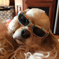 Ted Langley, CPA aka Grandude (@tedlangleycpa) 's Twitter Profile Photo Ted Langley, CPA aka Grandude (@tedlangleycpa) 's Twitter Profile Photo