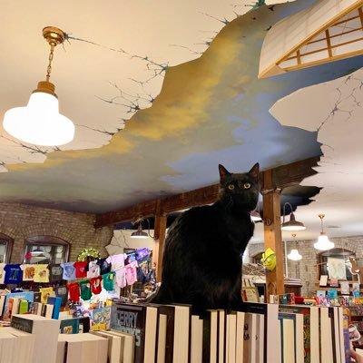wild rumpus bookstore wild rumpus bookstore