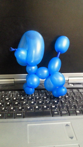 4_caseK's profile picture. 音楽・食・書評