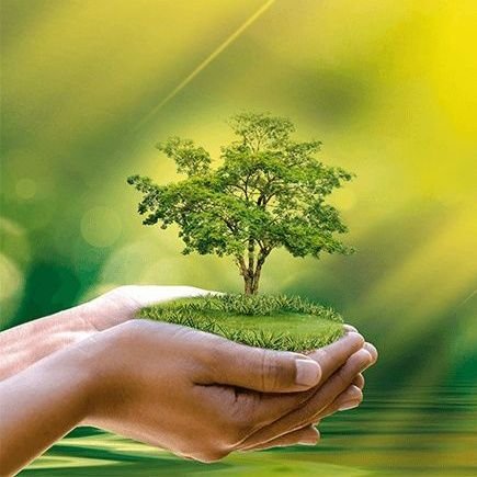 edu_dev_tech's profile picture. Tout est important dans la vie...