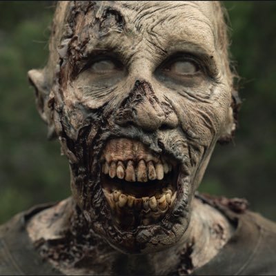 zombieatemybra1 Profile Picture