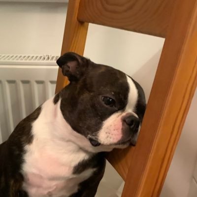 yaqooooooooob's profile picture. 