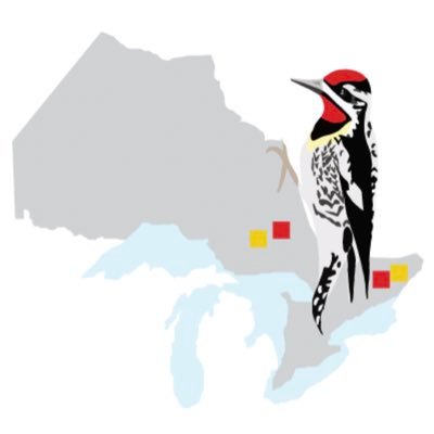 Atlas des oiseaux nicheurs de l'Ontario