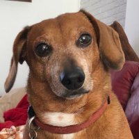 Ellen Kinney (@ellengl38) 's Twitter Profile