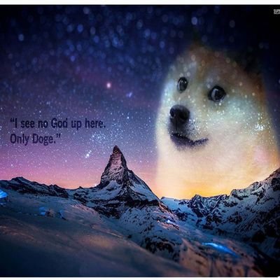 RagerGamer11's profile picture. Hey, this is my Twitter account. I might post things here from time to time, I dunno. The 24 year old no life with too much spare time