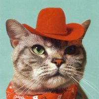 Oil Tycoon, but a cat(@iamcraftish) 's Twitter Profile Photo