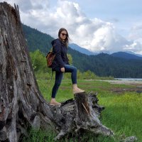 MsMeg (@megswiebe) 's Twitter Profile