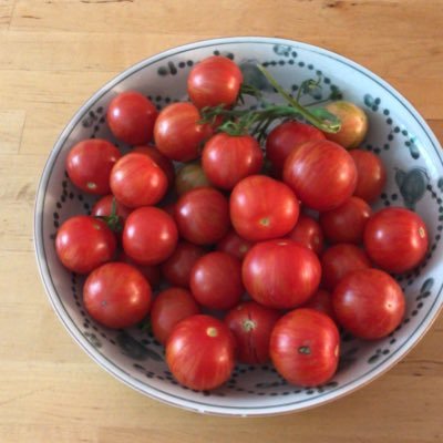 adambuchanan101's profile picture. blahblahblahblah