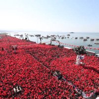 Akparti Bornova Belediye Meclis Grubu (@meclisgrubu) 's Twitter Profile