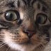 Richard Decat (@richithecat) Twitter profile photo Richard Decat (@richithecat) Twitter profile photo