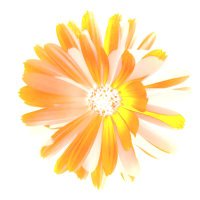 Free Flash Fiction (@fffict) 's Twitter Profile Photo Free Flash Fiction (@fffict) 's Twitter Profile Photo