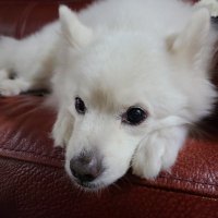 I A M T R Y I N G (@jungminkimwipes) 's Twitter Profile Photo