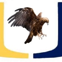 United High School(@UHSEagles) 's Twitter Profile Photo