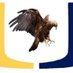 United High School (@UHSEagles) Twitter profile photo