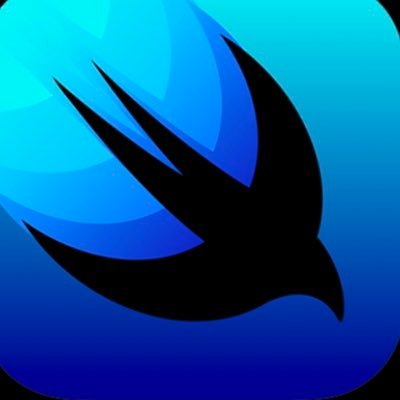 SwiftUIDaily's profile picture. SwiftUI every day