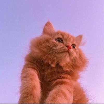 AiwsAsiry's profile picture. سمرونه💕